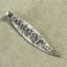 Reversible Fine Silver Leaf Pendant